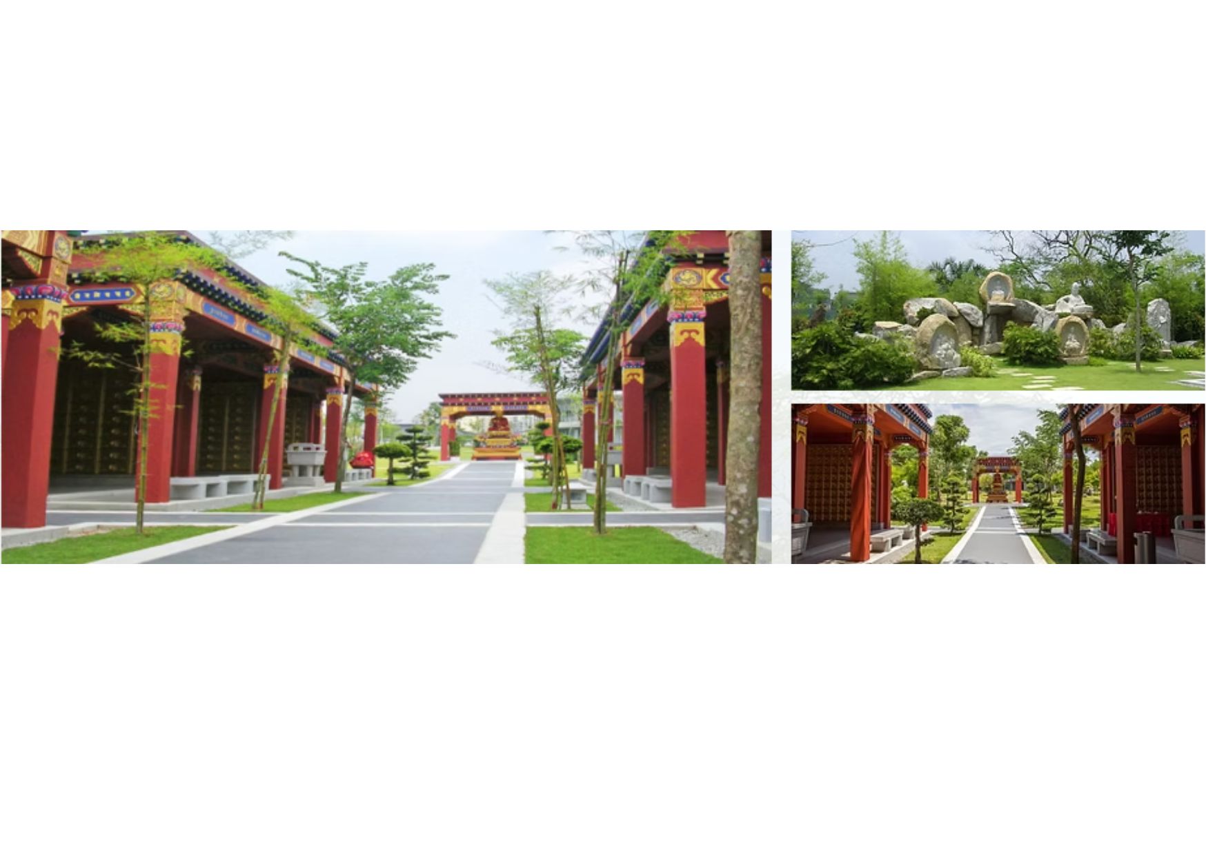 hundred obedience forest