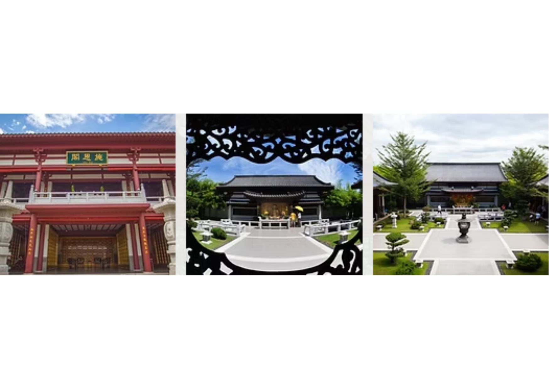 purple bamboo forest 2