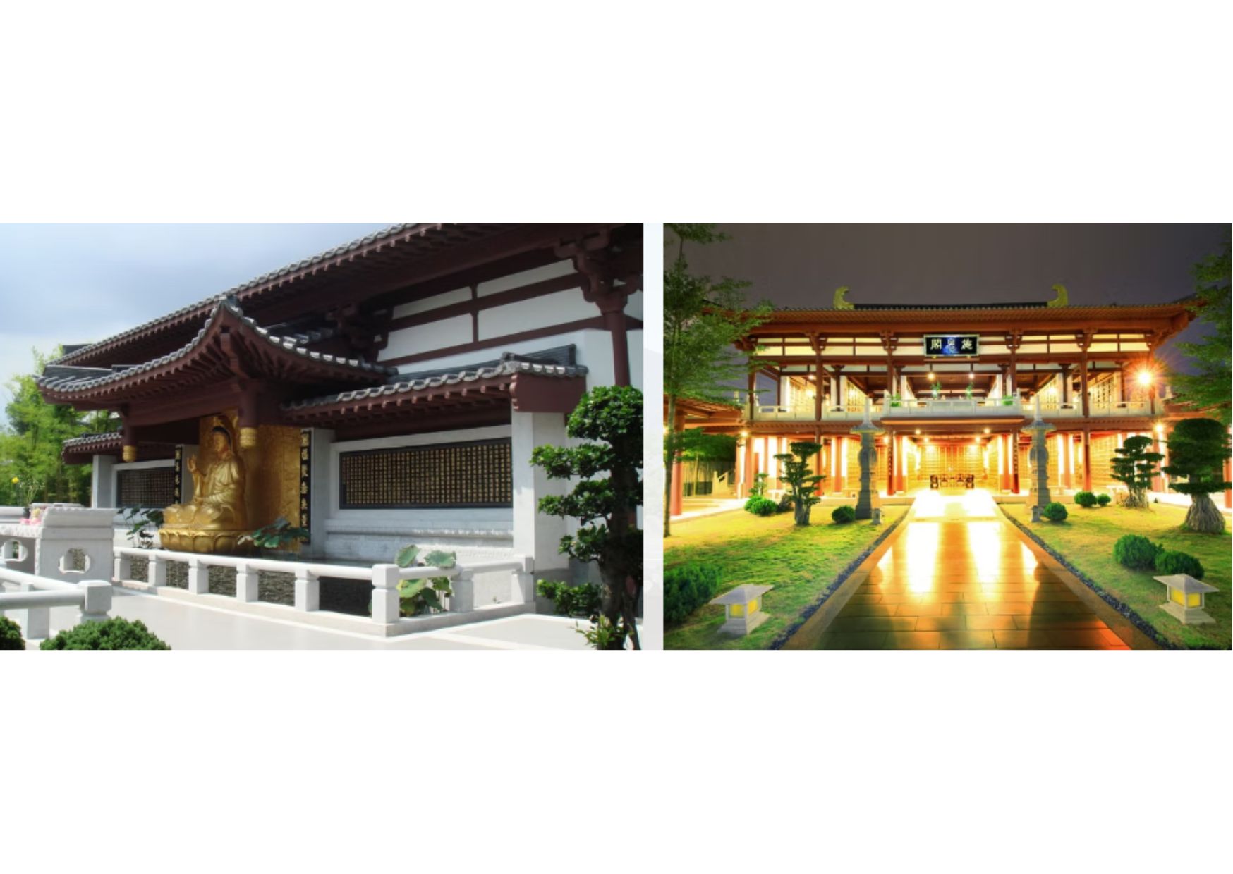 purple bamboo forest